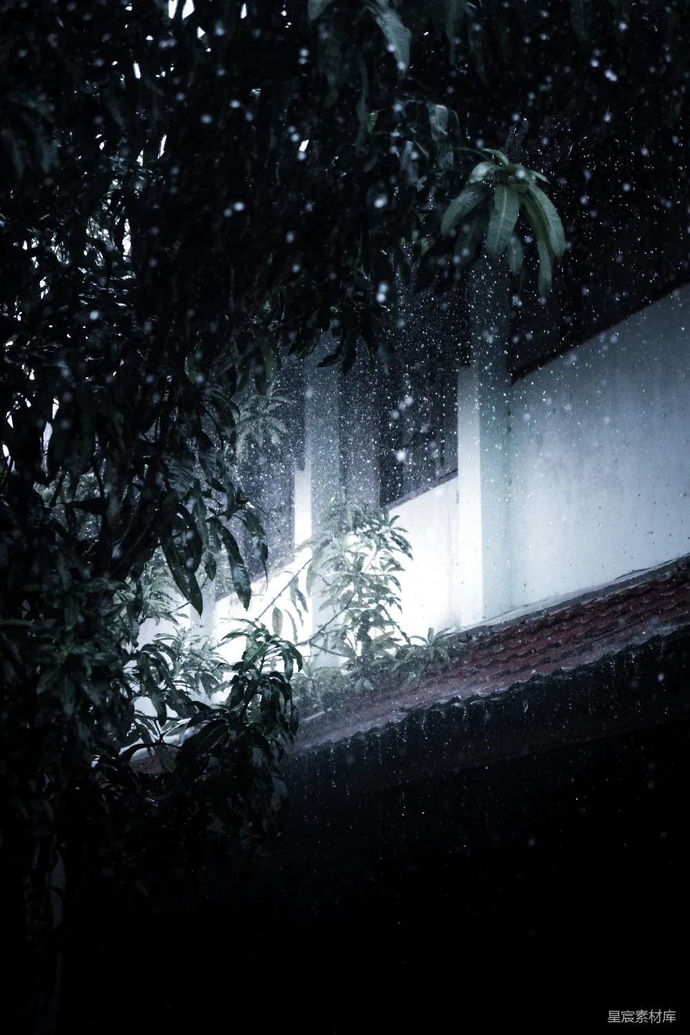 高清摄影 近树处，屋檐上滴下的雨珠。