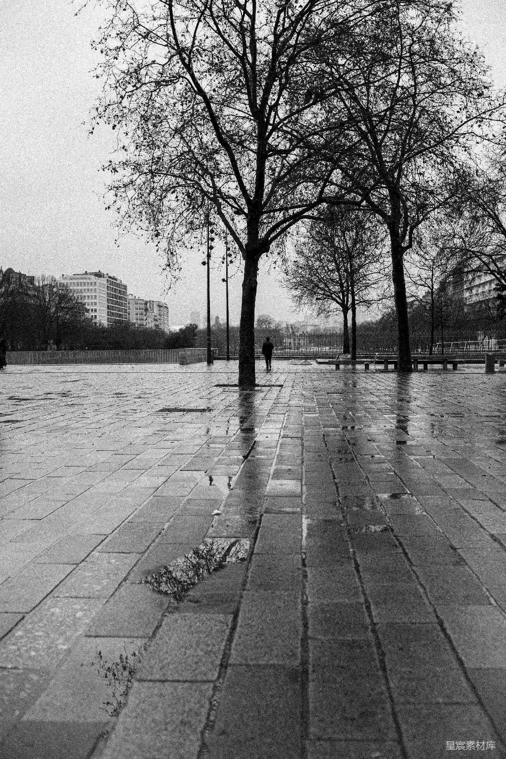 高清摄影 一幅黑白照片中一个人在雨中行走