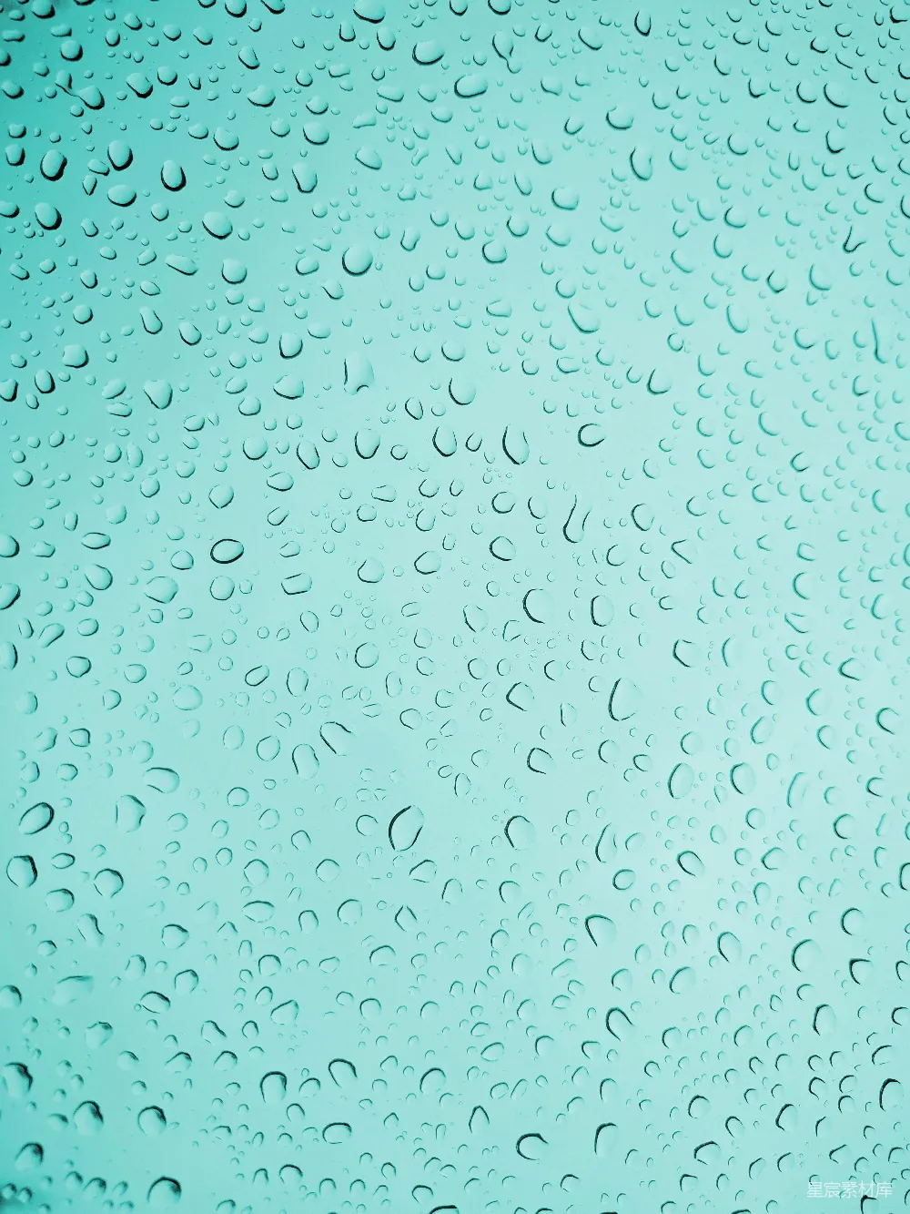 高清摄影 水露