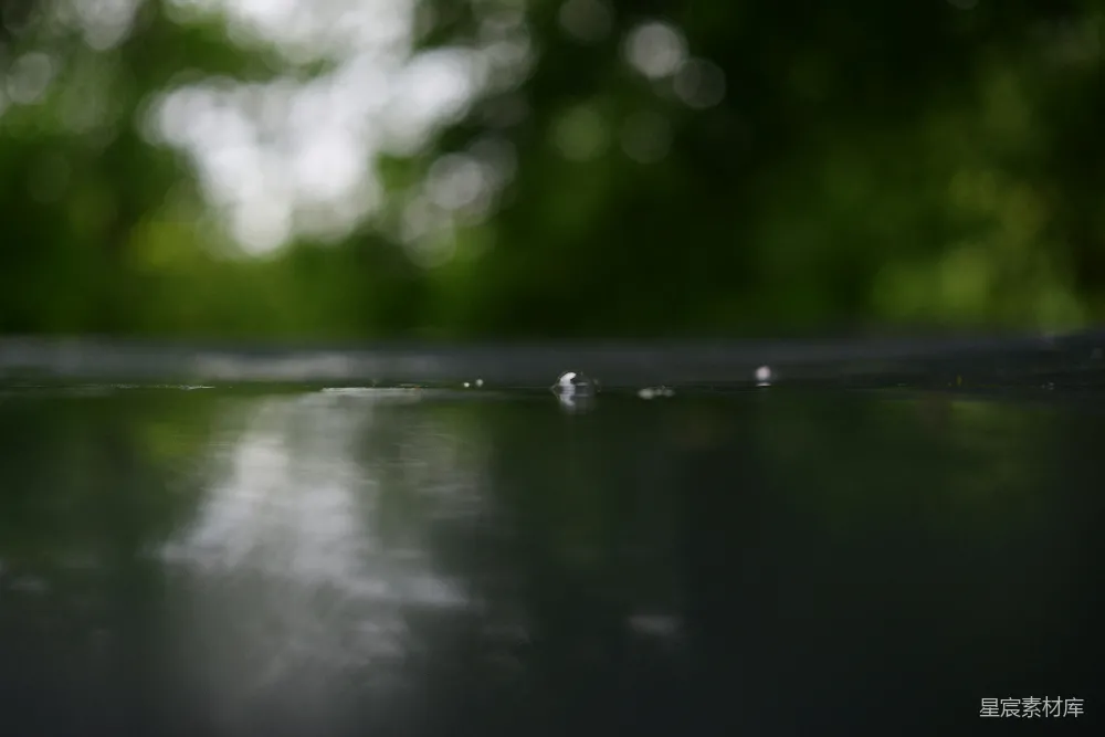 高清摄影 黑暗表面反射模糊绿树的雨滴。