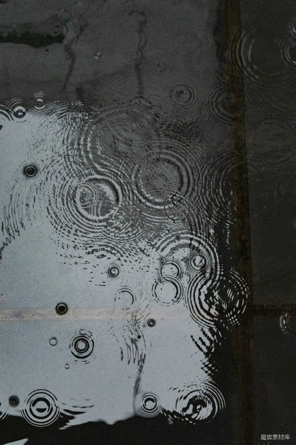 高清摄影 雨滴在暗处湿地上形成同心水纹。