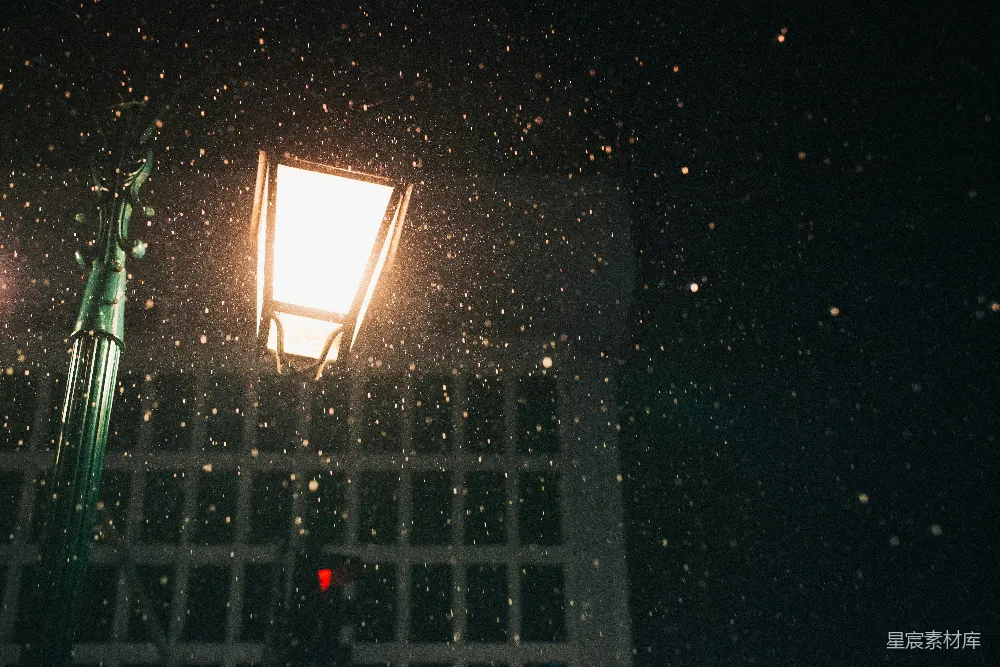 高清摄影 夜晚雪夜中的街灯