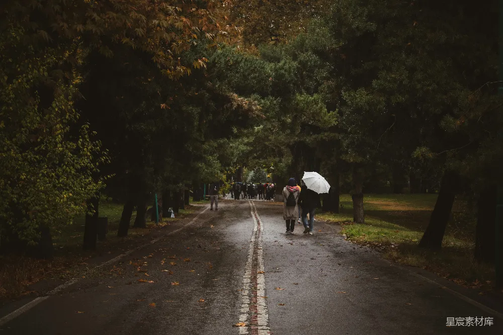 高清摄影 一群人走在路上拿着雨伞