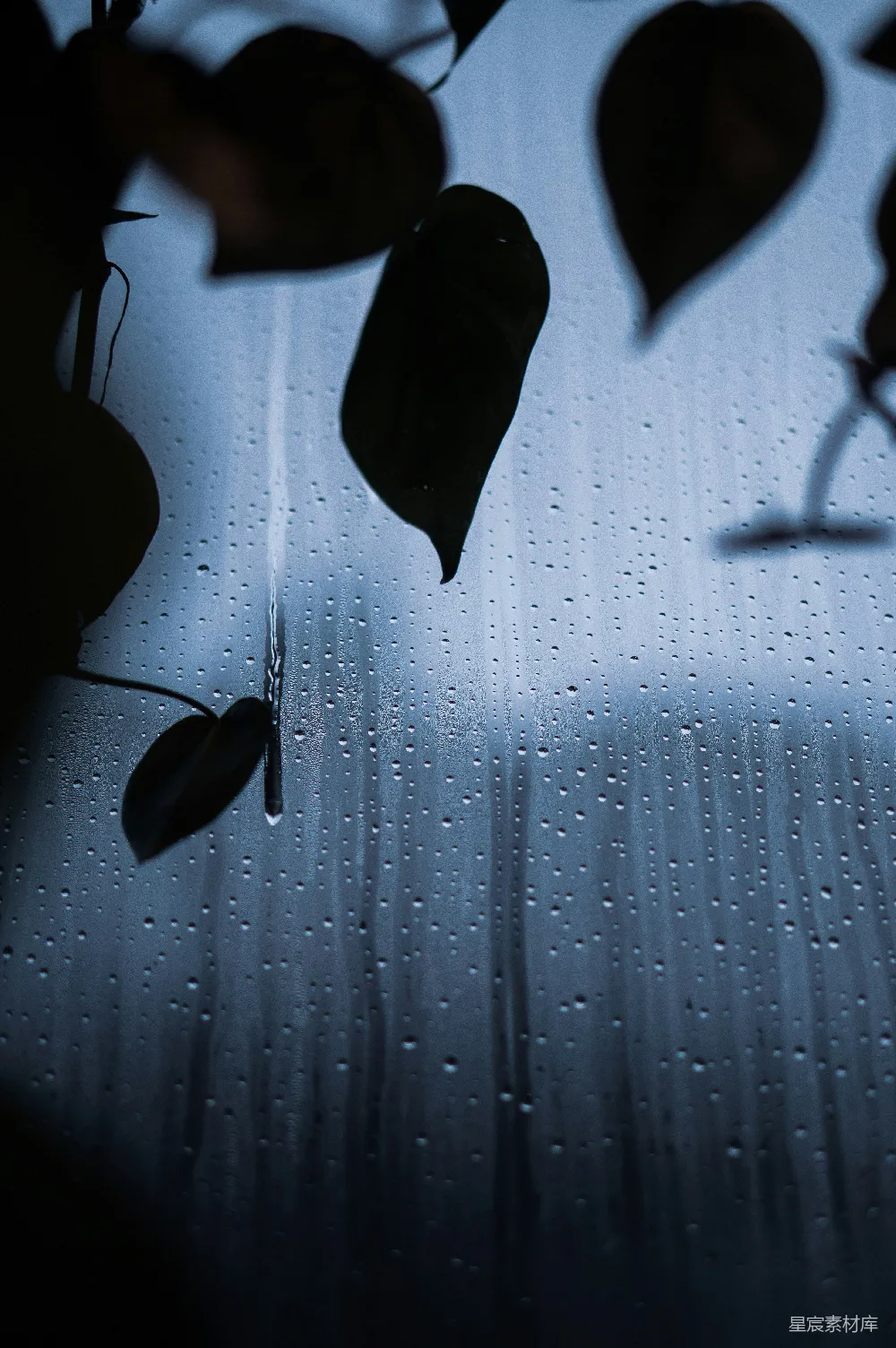 高清摄影 玻璃窗户上有雨滴