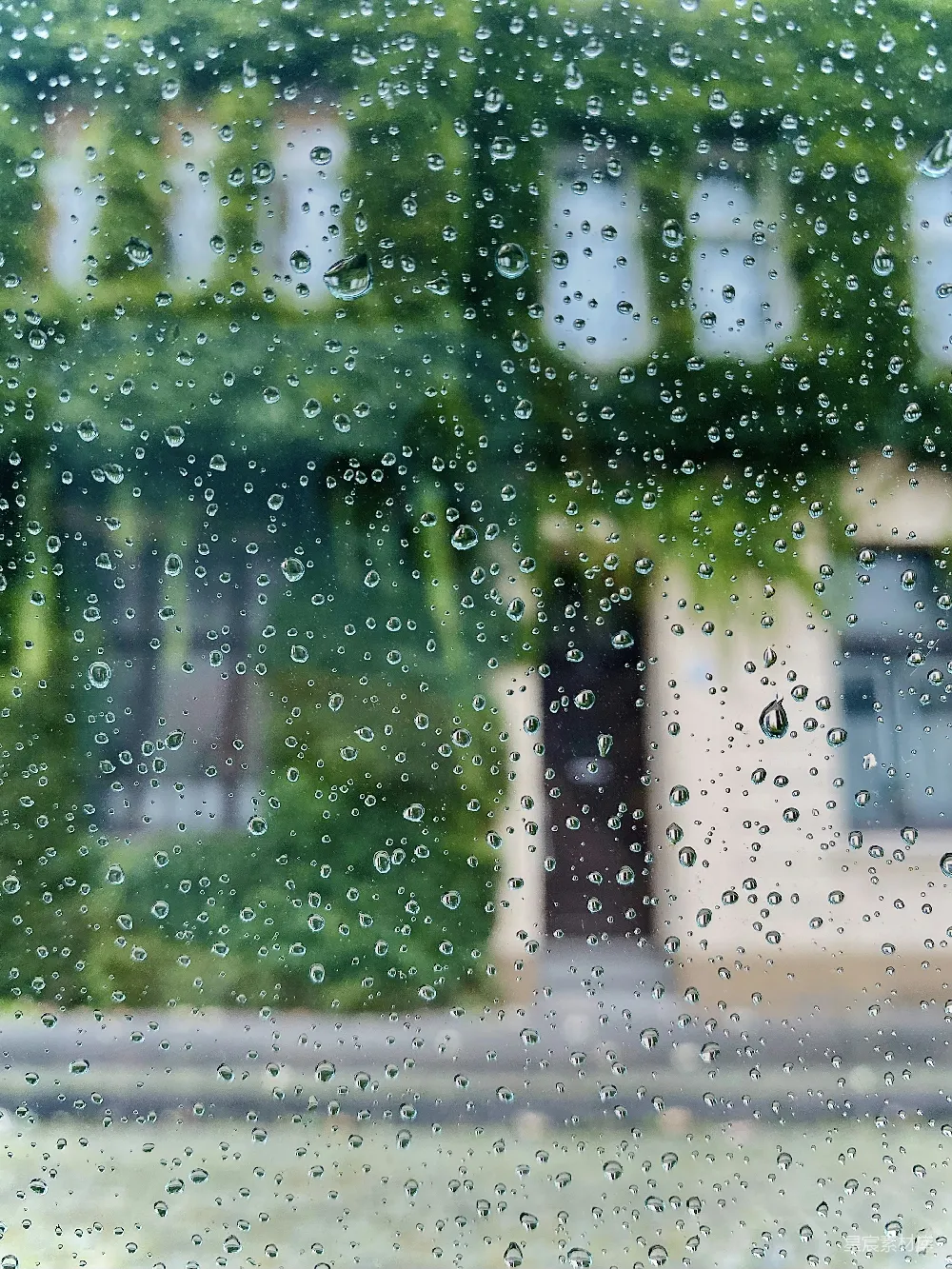 高清摄影 背景中有房子的窗户上滴着雨drops