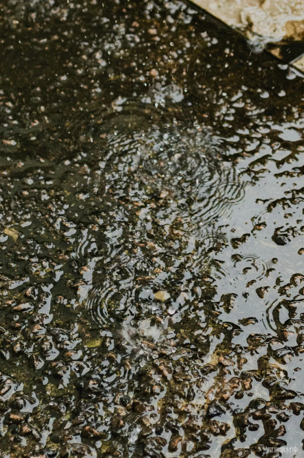 高清摄影 雨水落在湿滑有纹理的表面上形成涟漪。