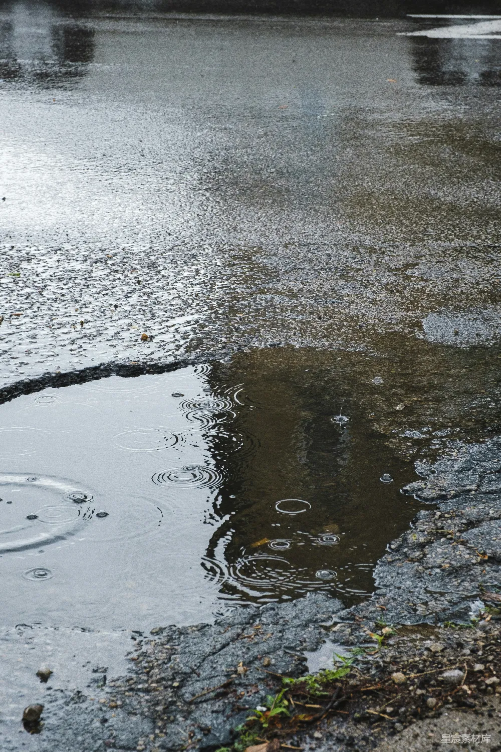 高清摄影 路旁的水域