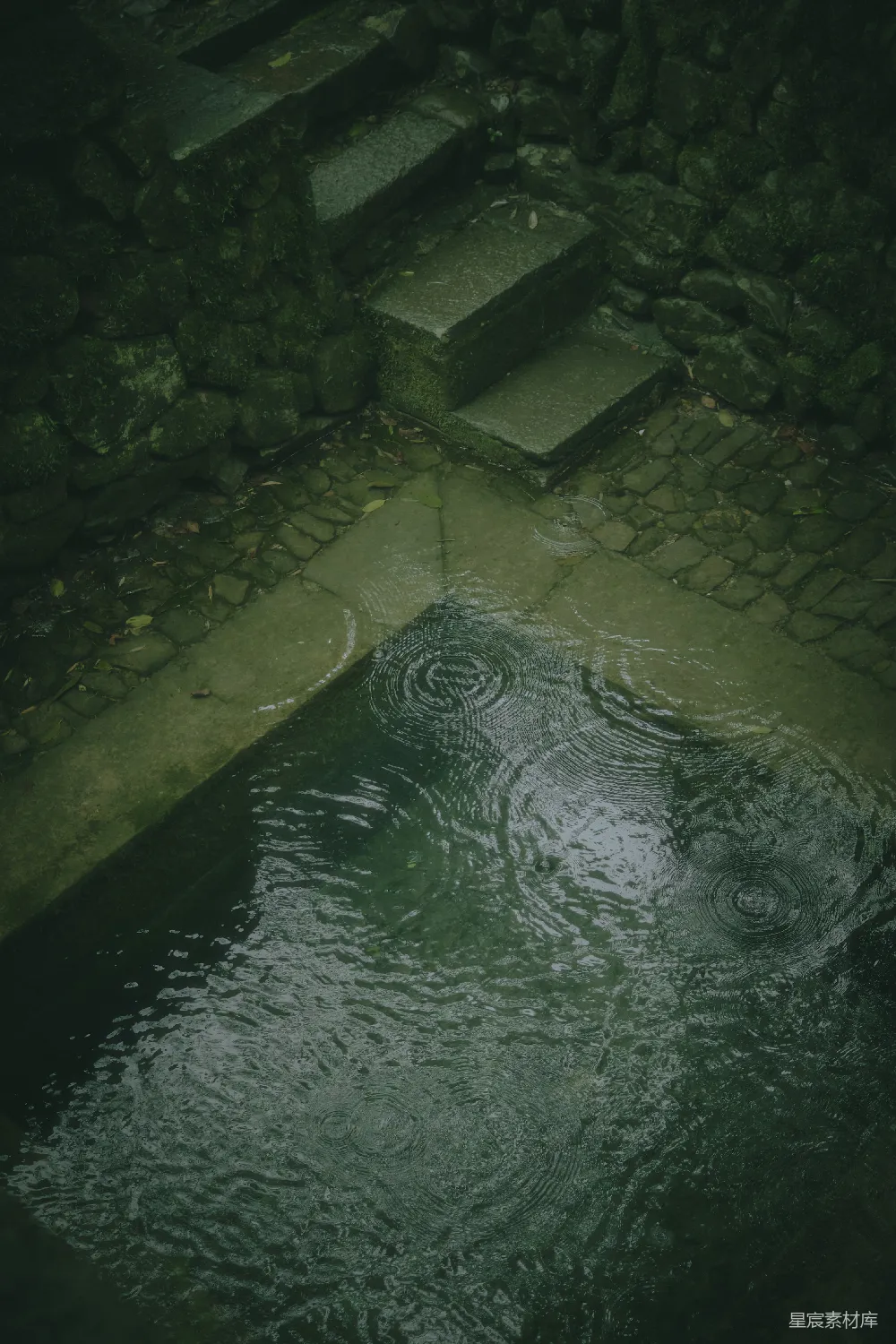 高清摄影 雨沿着一些台阶溅起池中的涟漪。