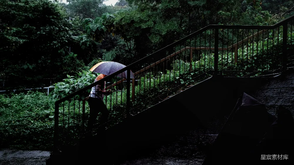 高清摄影 撑伞的人走上雨中的户外台阶