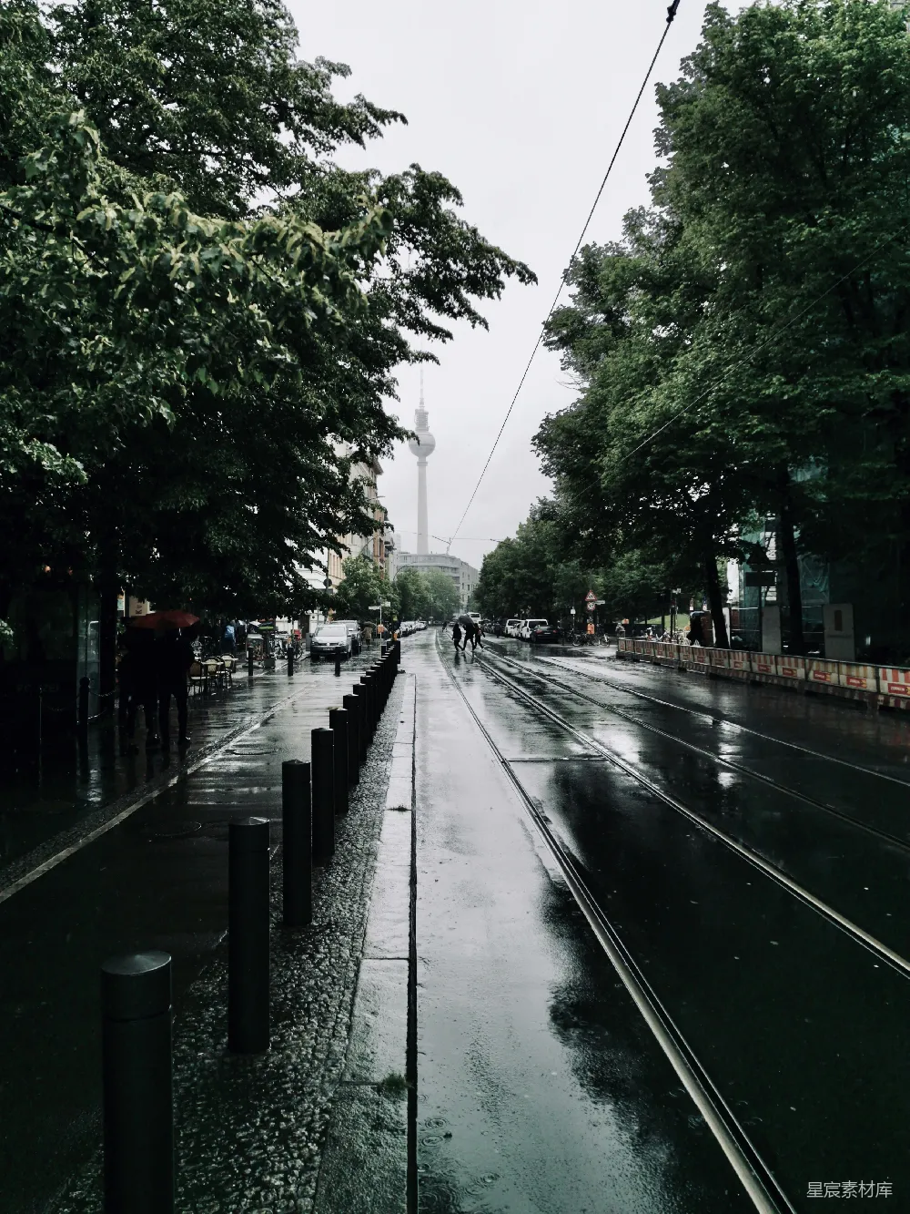 高清摄影 绿树之间的湿路