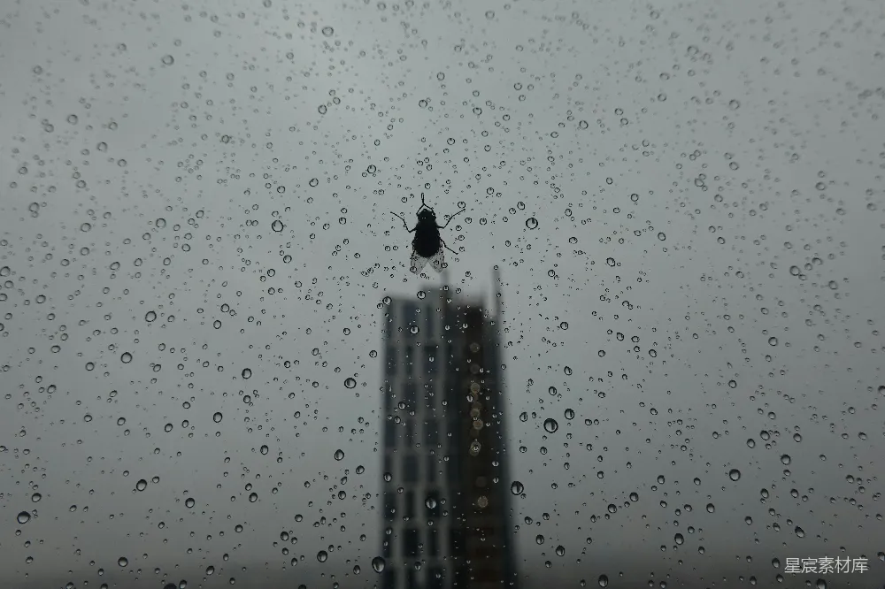 高清摄影 透过蒙上雨的窗户看的一栋建筑