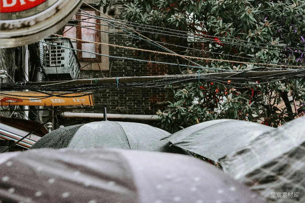 高清摄影 白天在绿色树木附近的黑色金属栅栏上