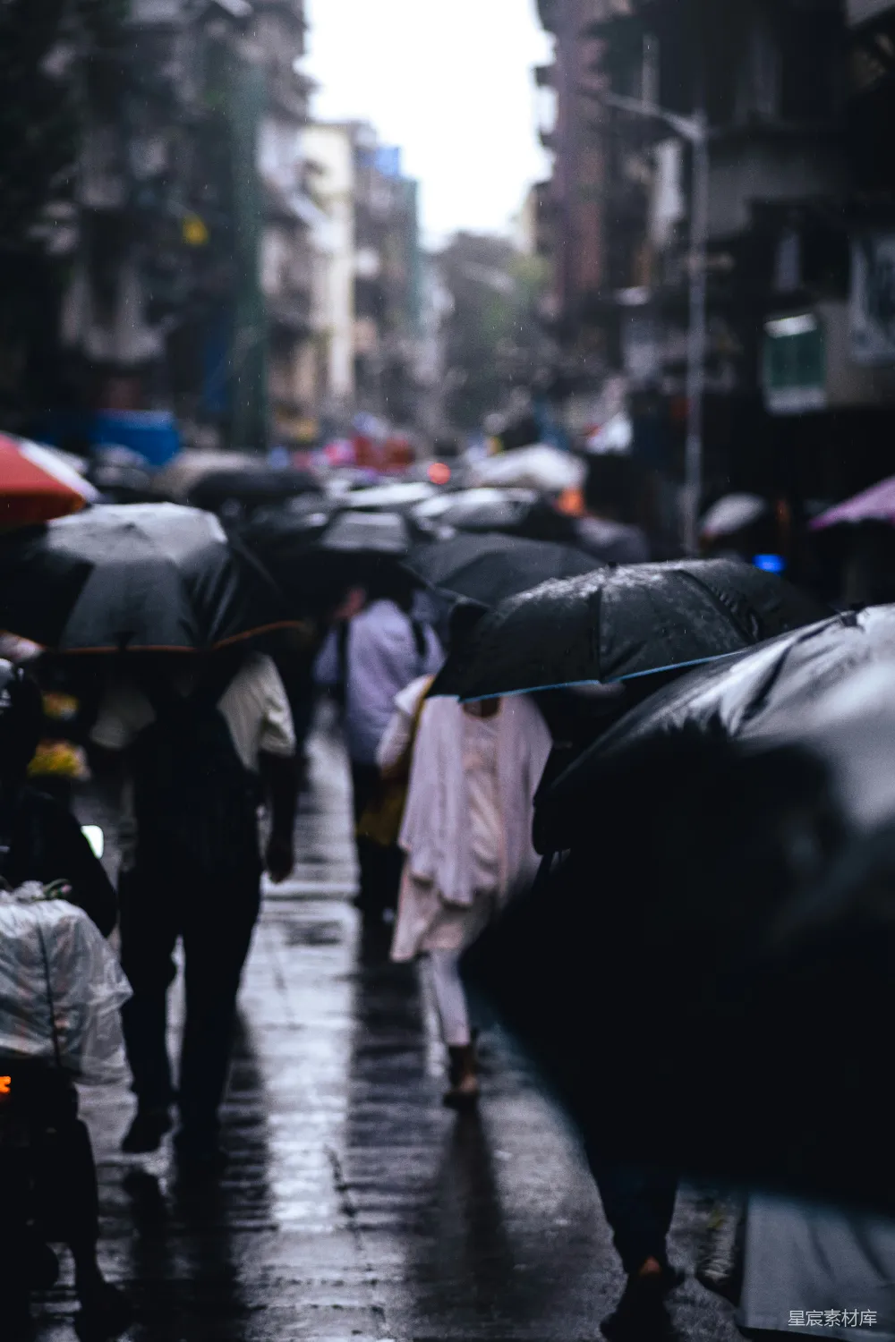 高清摄影 人们打着伞在雨中行走