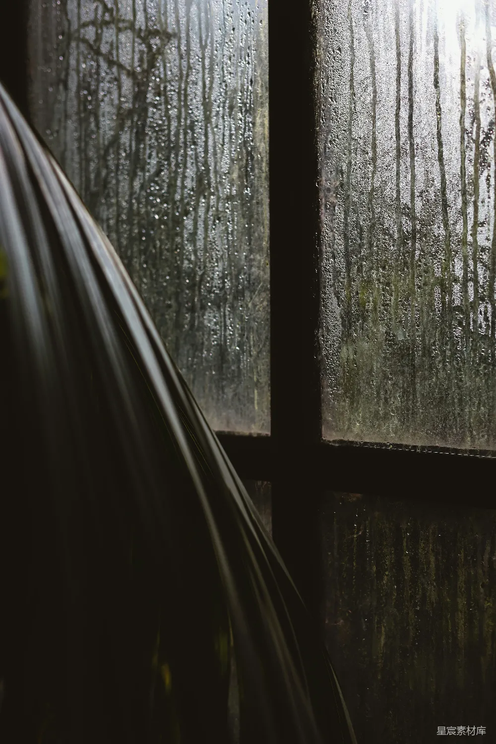 高清摄影 透过雨窗看去的一片森林