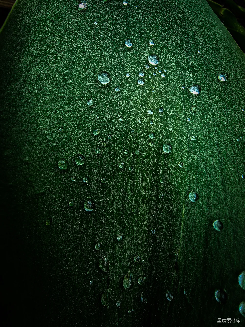 高清摄影 一个特写镜头中的表面