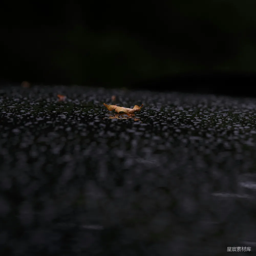 高清摄影 暗色表面叶上的雨滴。
