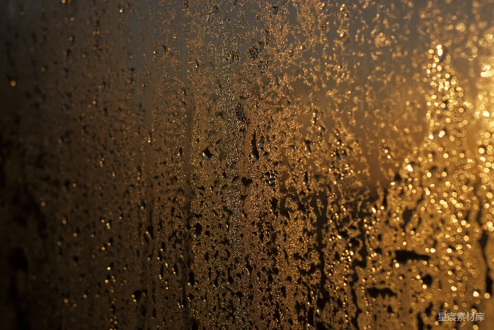 高清摄影 窗户上的雨滴特写