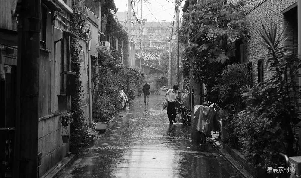 高清摄影 两个身影在一条被雨水浸湿的小巷中行走，小巷两旁种满了植物。