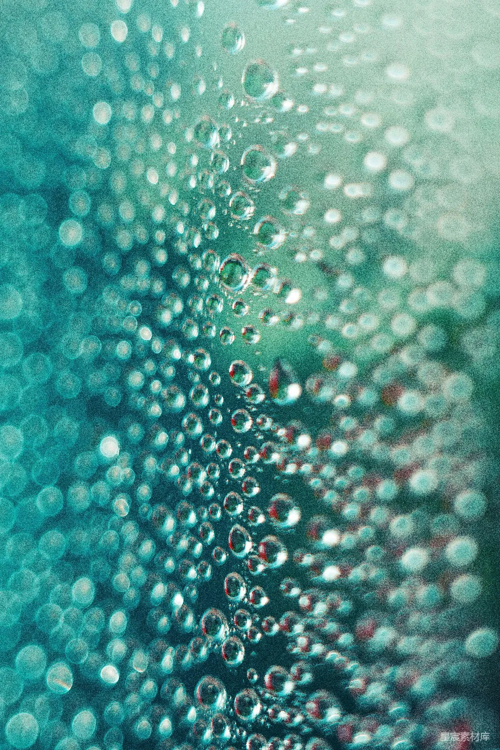 高清摄影 窗玻璃上水珠的特写