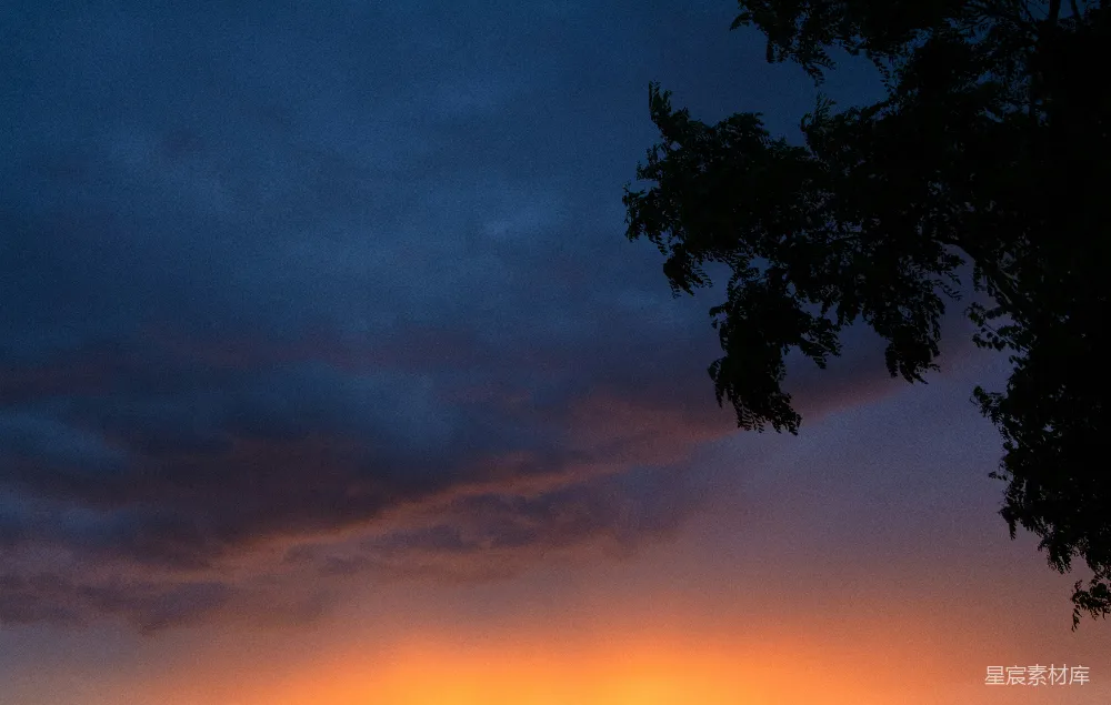 高清摄影 夕阳西下，一片田地边有树木。