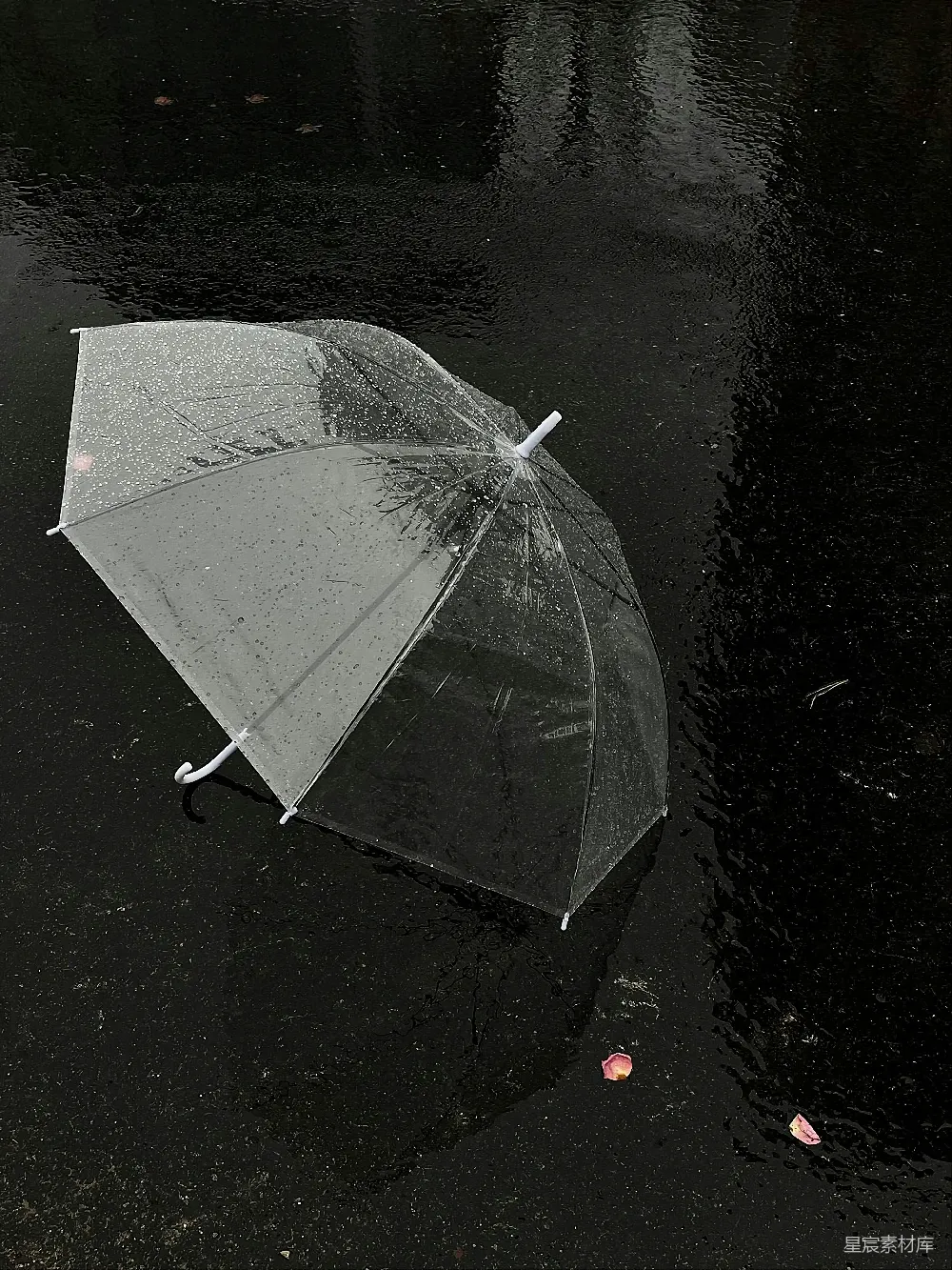高清摄影 透明伞在湿黑的沥青上覆盖着雨滴。