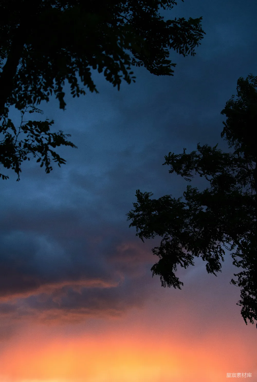 高清摄影 夕阳西下，一片田地旁有树木。