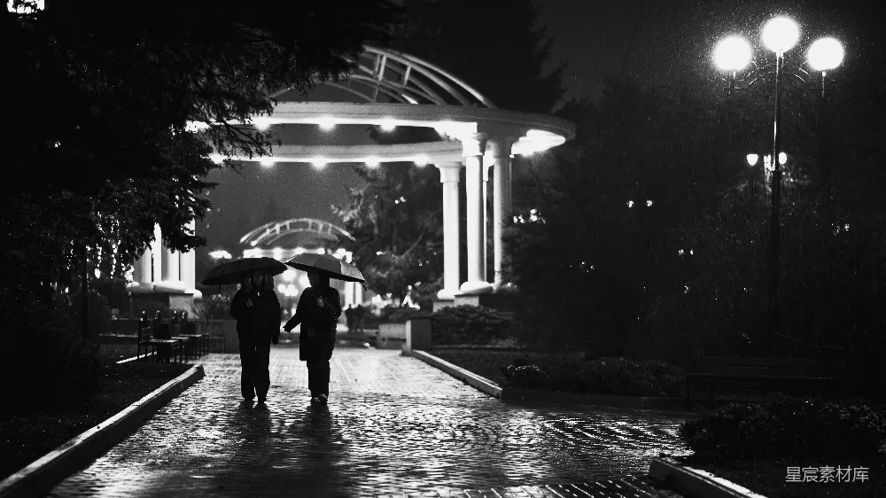 高清摄影 两个人夜晚打着伞走在路上。