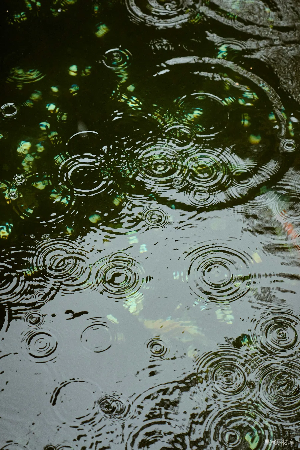 高清摄影 雨滴在暗处有反光表面激起涟漪。