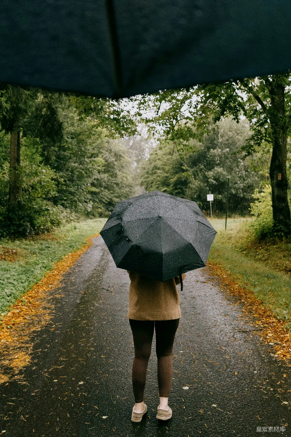 高清摄影 森林中一个人拿着雨伞走在湿漉漉的路上