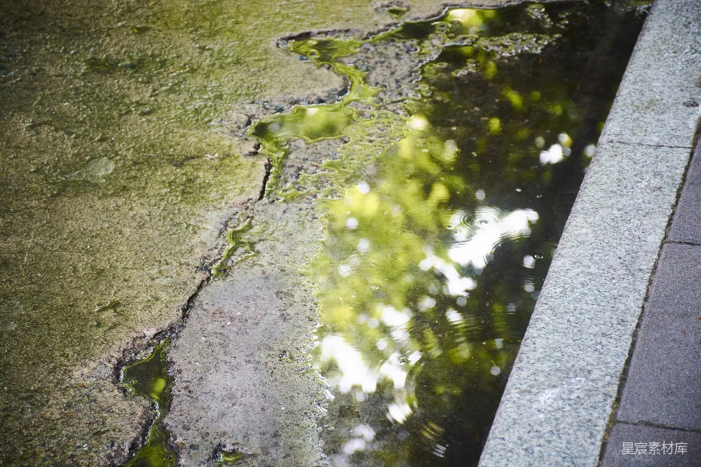 高清摄影 sidewalk上的水洼