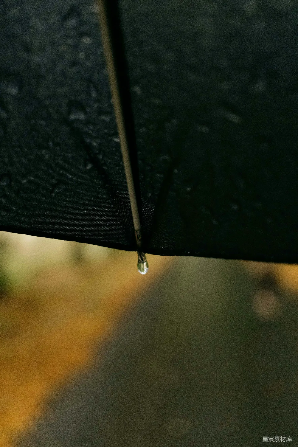 高清摄影 一只雨滴从伞上落了下来。