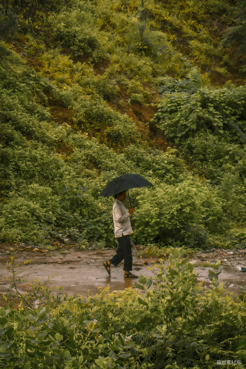 高清摄影 白衬衫黑裤子的女人手持雨伞走在小径上