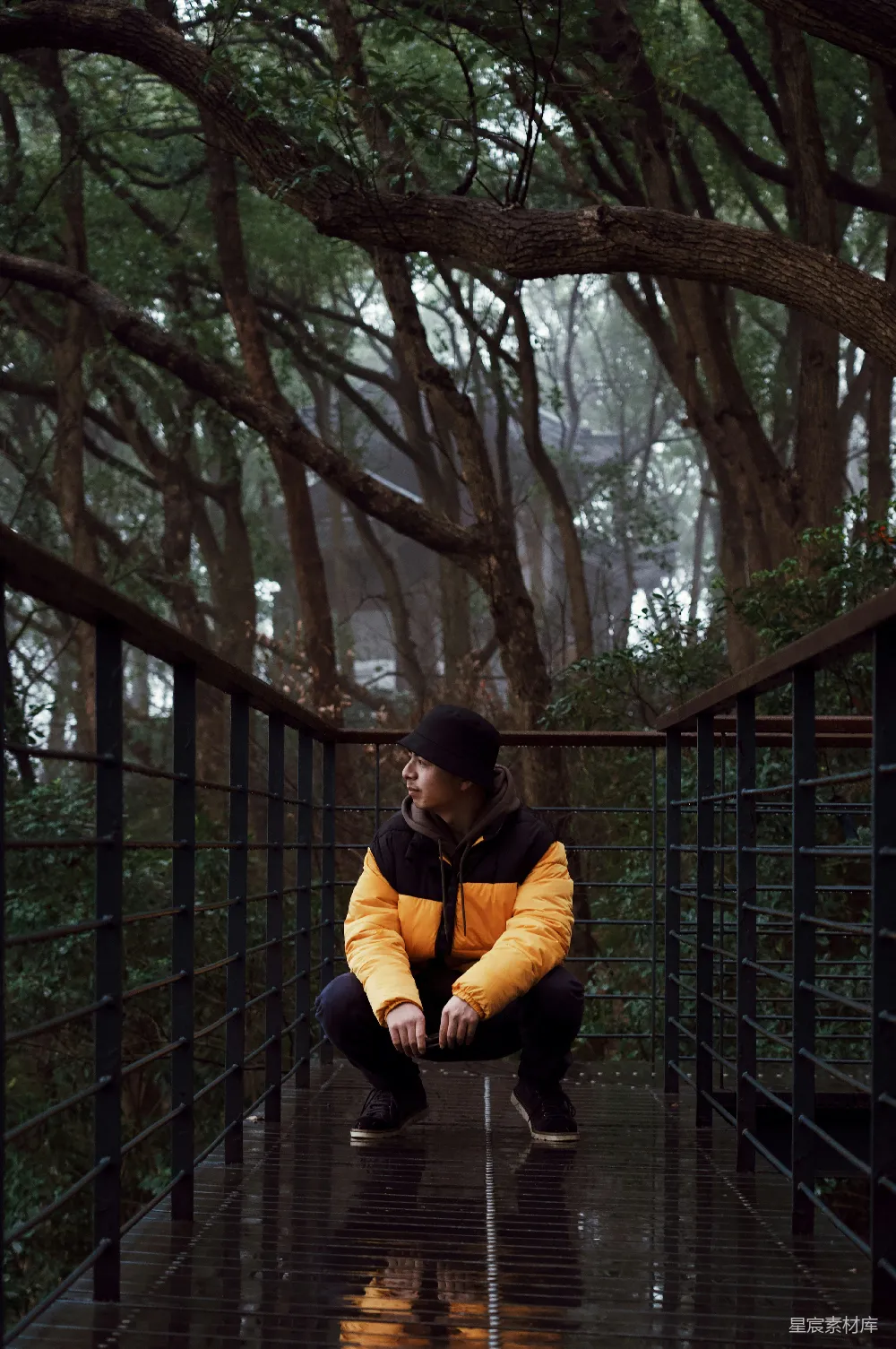 高清摄影 穿黑黄夹克的男人坐在树旁。