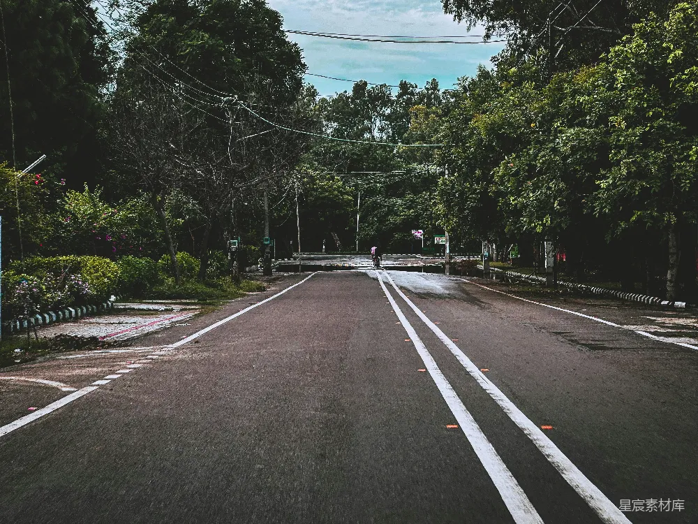 高清摄影 空旷的街道两旁种满了树木。