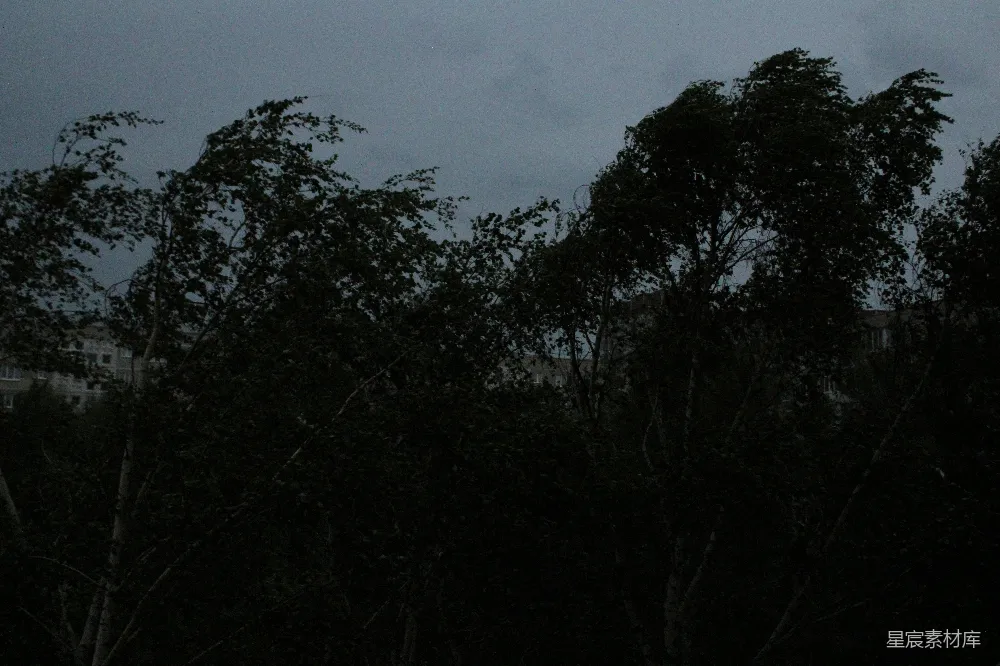 高清摄影 透过树林看夜晚的建筑