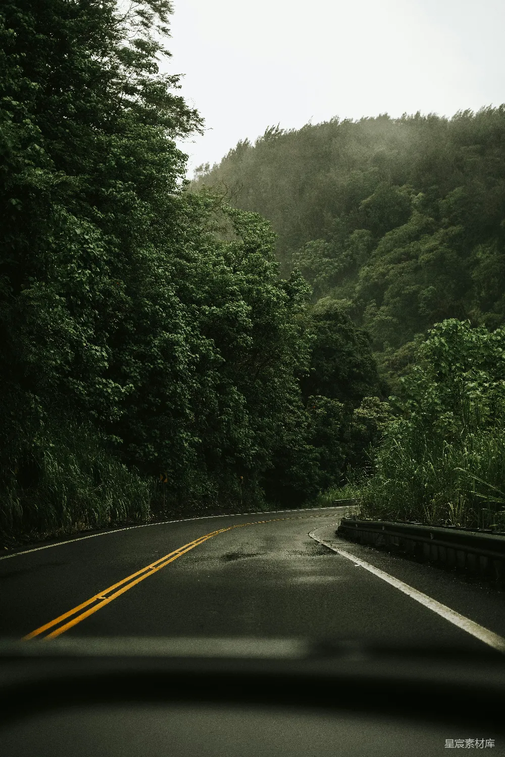高清摄影 一辆车沿着旁边郁郁葱葱的森林的道路行驶。