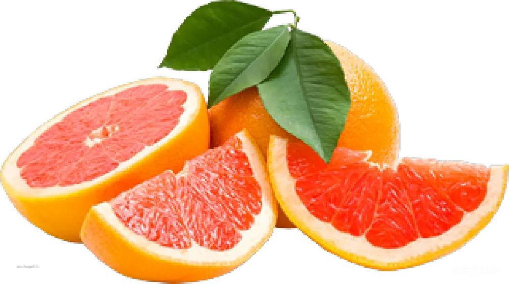 元素素材 grapefruit