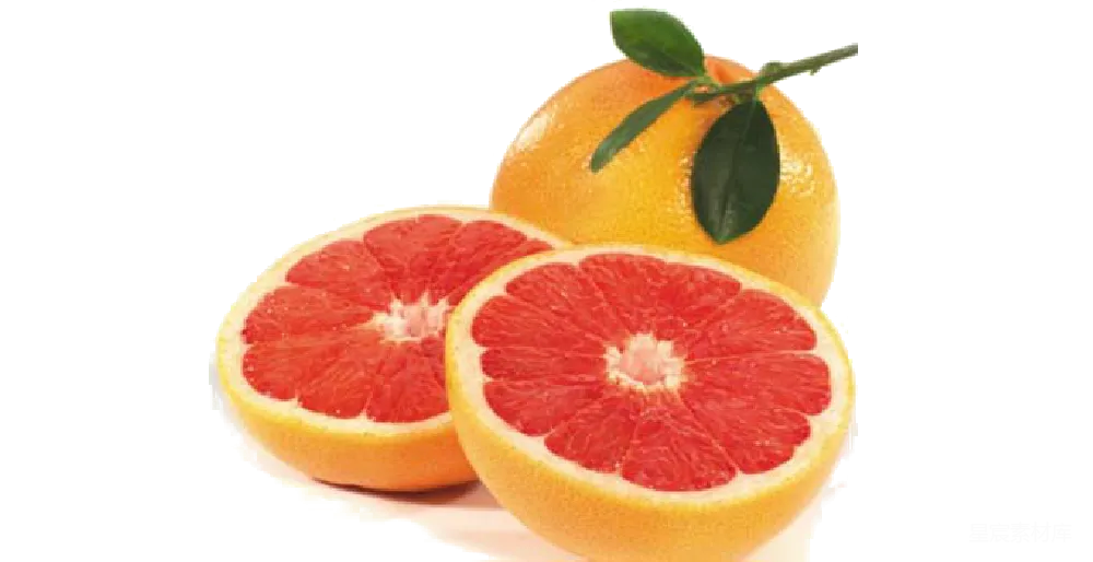 元素素材 grapefruit