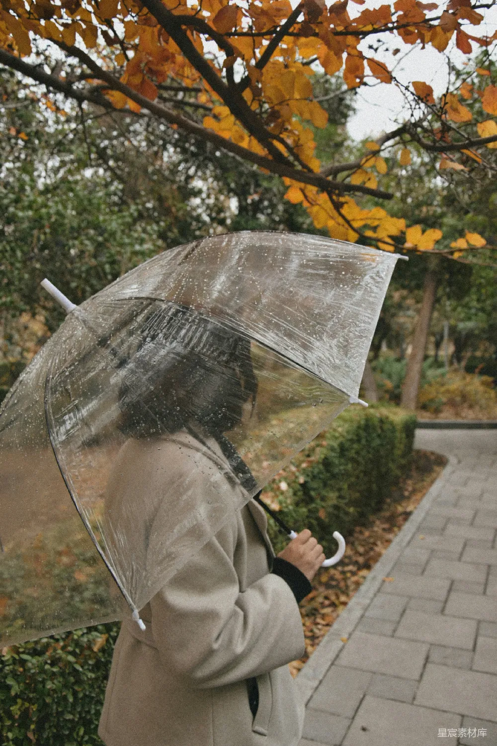 高清摄影 雨中撑着一把透明伞的女人