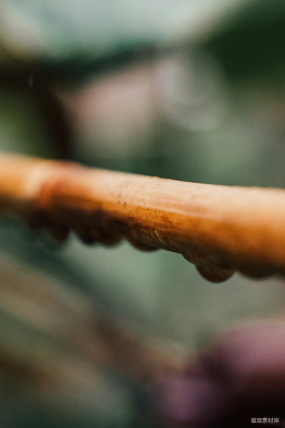高清摄影 一个模糊的热狗近照