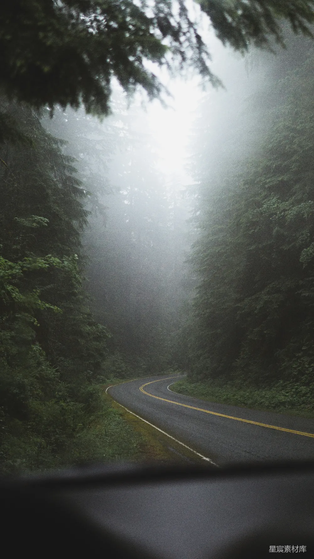 高清摄影 白天近处有树的道路混凝土铺设