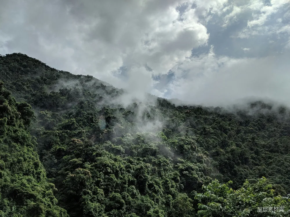 高清摄影 山中绿树映衬白云，白天景象
