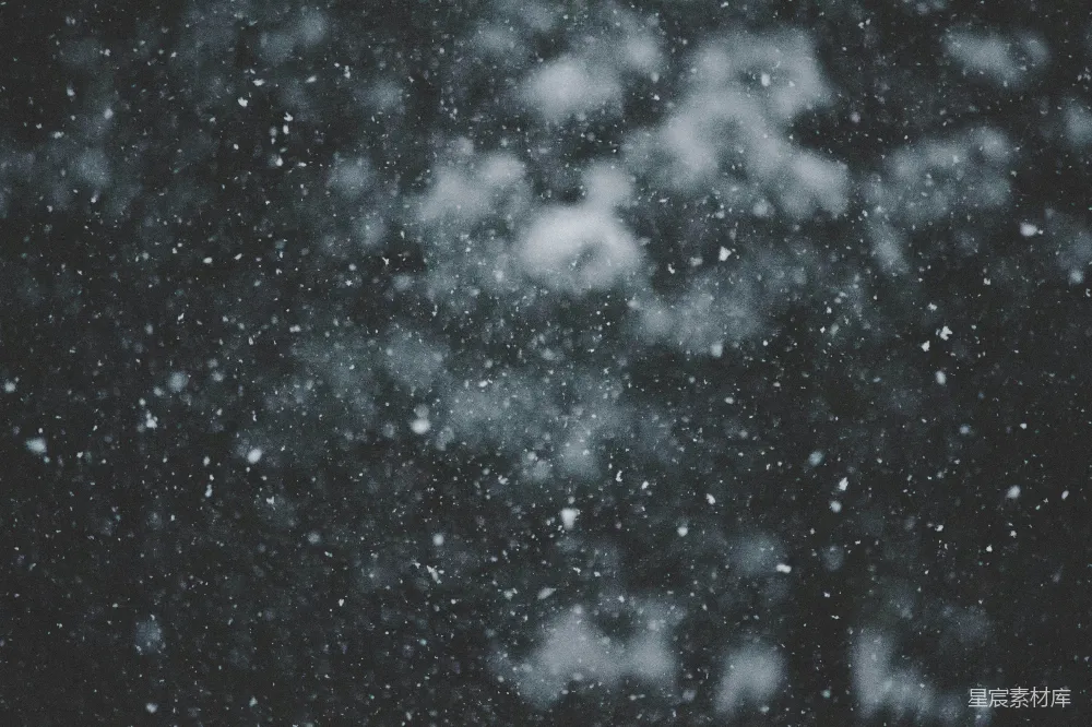 高清摄影 一张黑白照片中下着雪