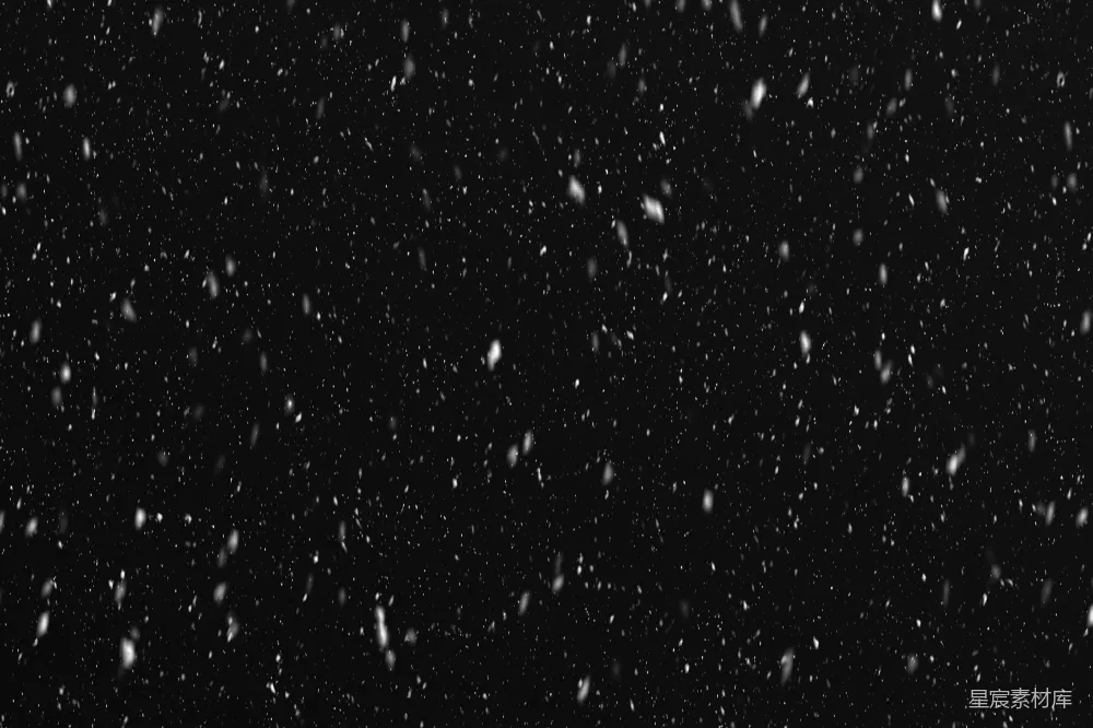 高清摄影 一张黑白照片中雪正在落下