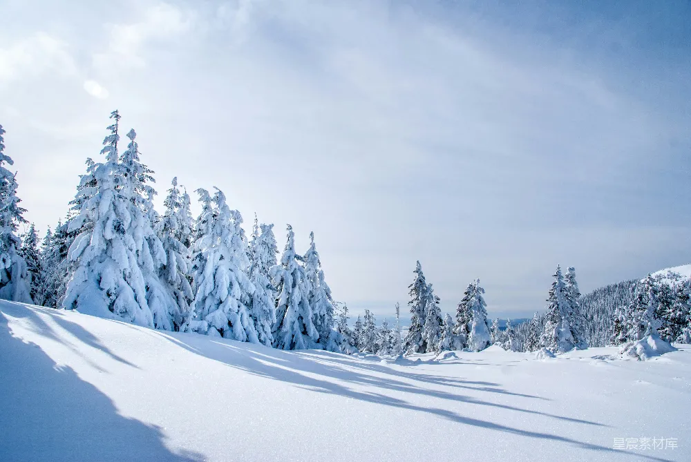 高清摄影 雪场