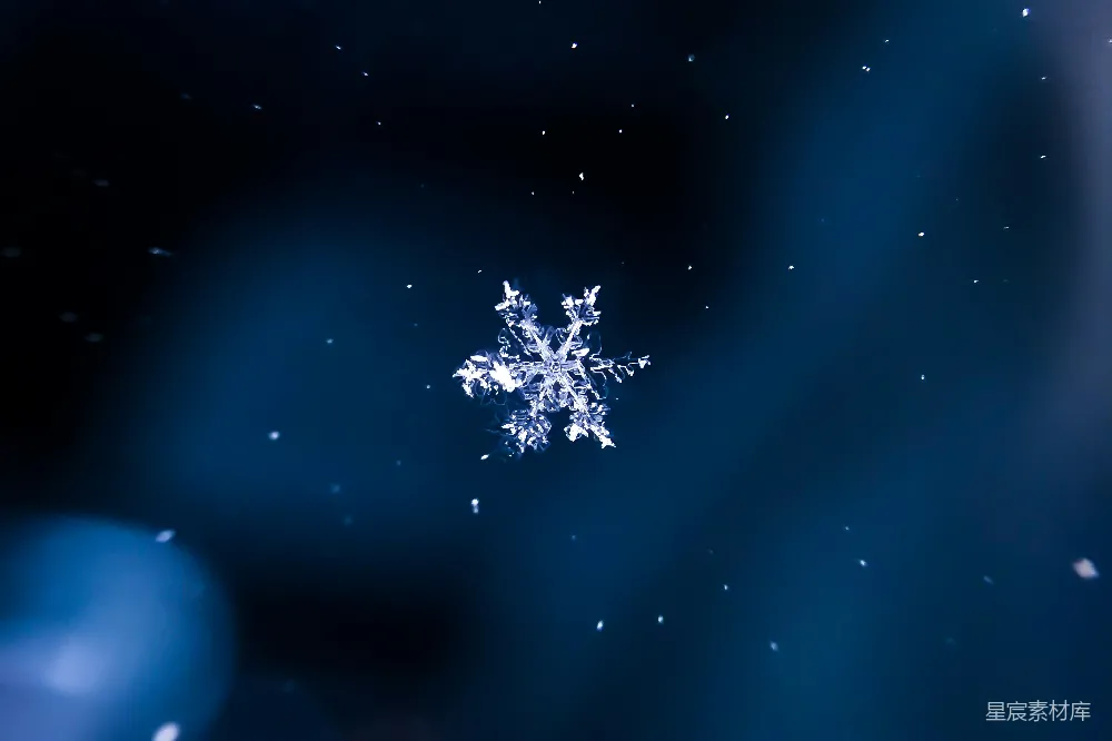 高清摄影 雪花图案插图