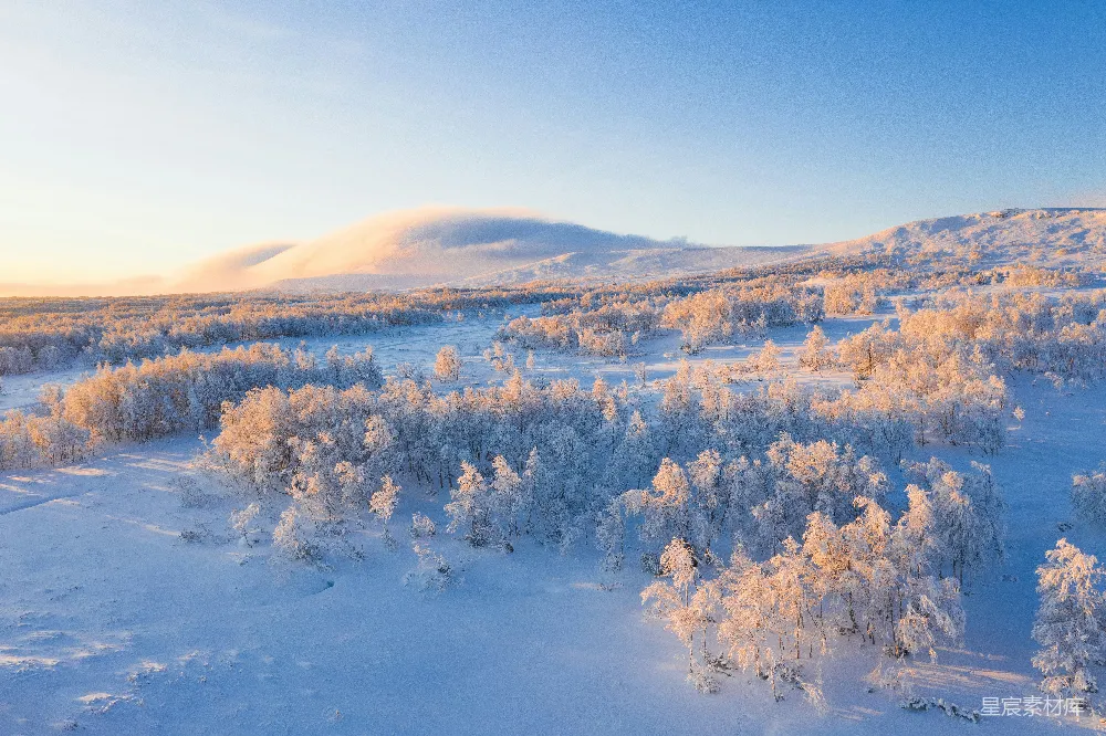 高清摄影 覆盖白雪的树木俯瞰图