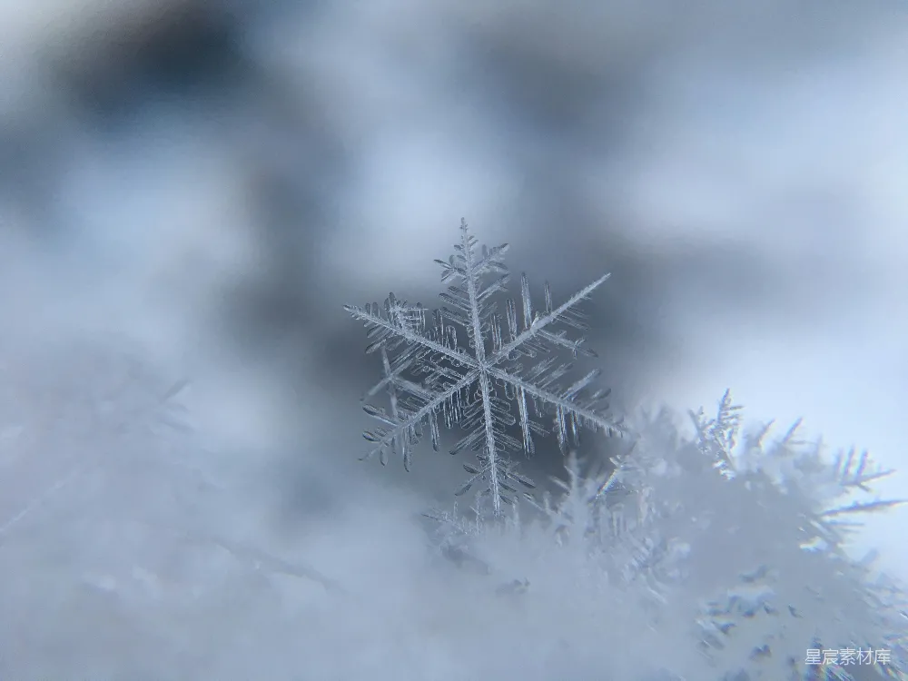 高清摄影 浅聚焦摄影雪晶体