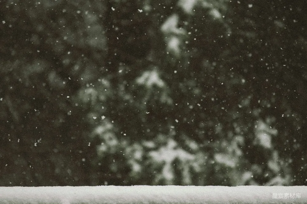 高清摄影 白雪雪花