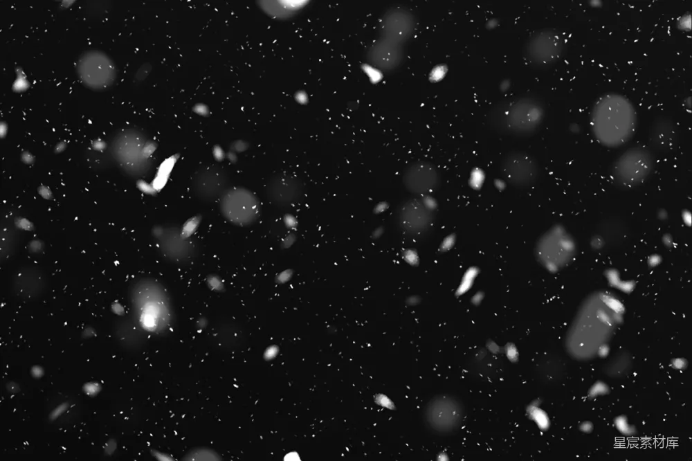 高清摄影 黑白照片中雪的落下